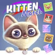 Encontre o Gato